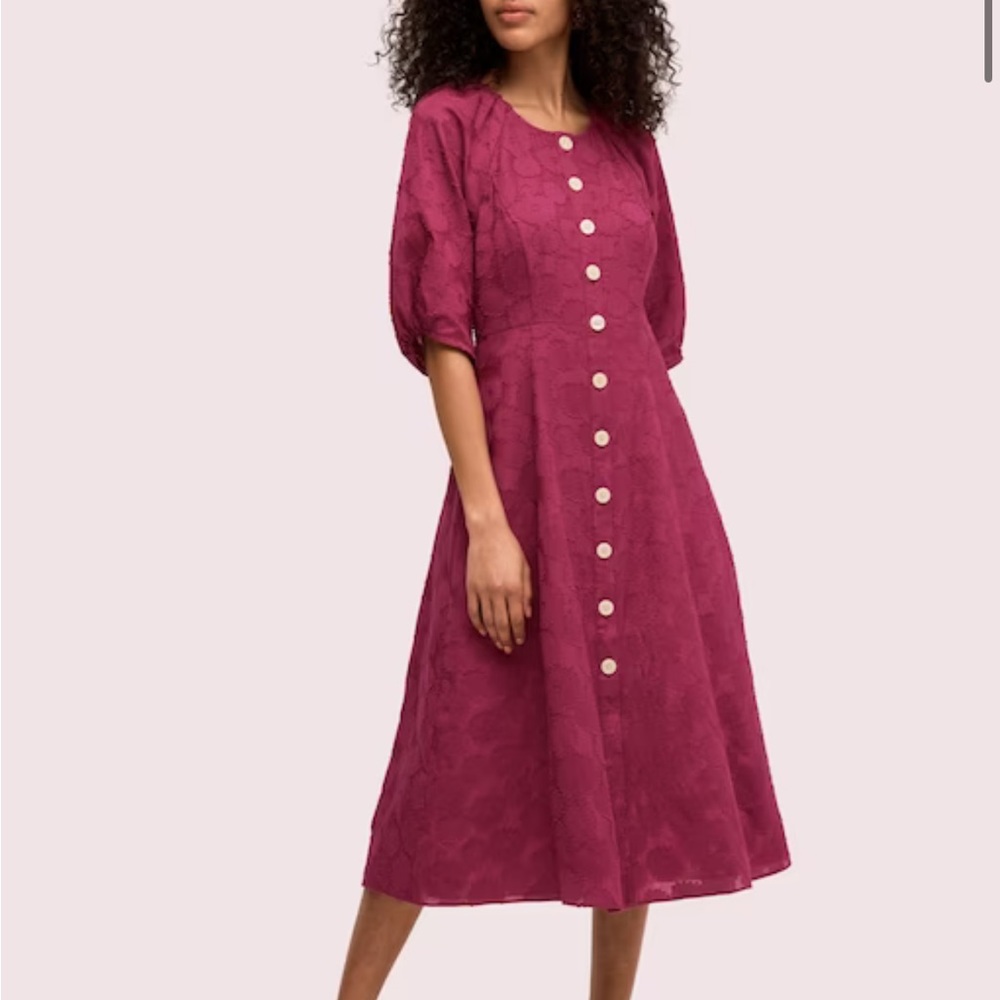 Kate Spade Midi Dress - NEW